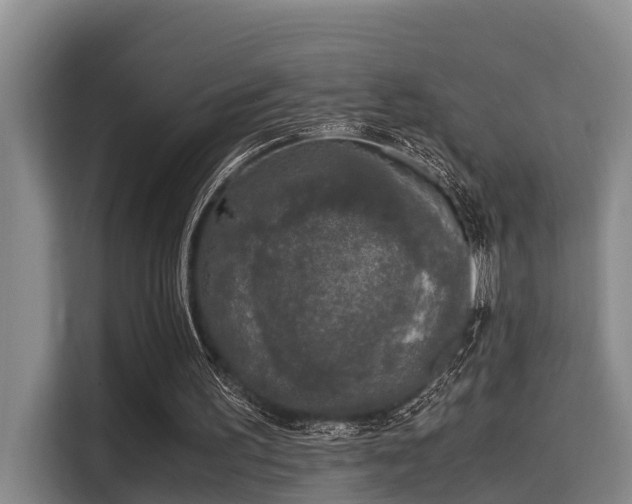 X0000115660195200911191012