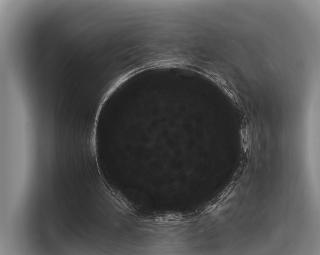 X0000115660196200911191012
