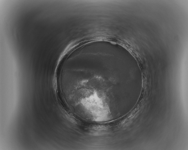 X0000115660198200911191012