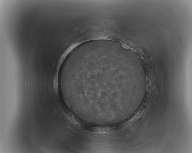X0000115660200200911191012