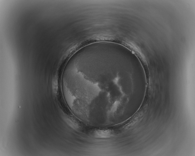 X0000115660202200911191012
