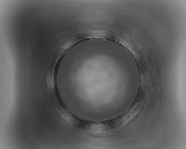 X0000115660203200911191012