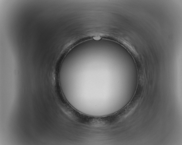 X0000115660207200911191012