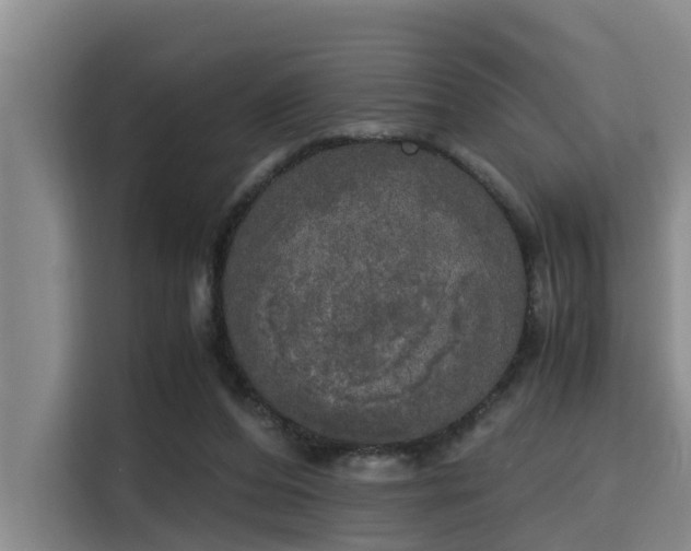 X0000115660208200911191012