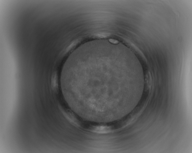 X0000115660212200911191012
