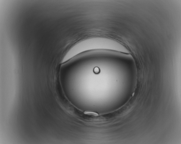 X0000115660215200911191012