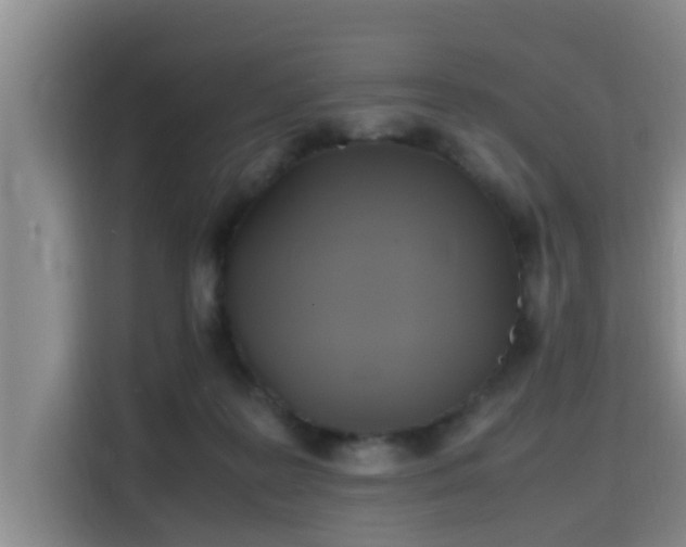 X0000115660219200911191012