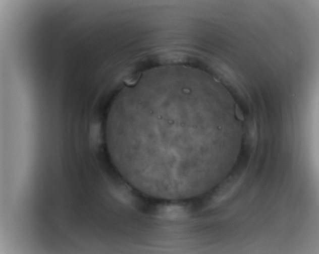 X0000115660224200911191012