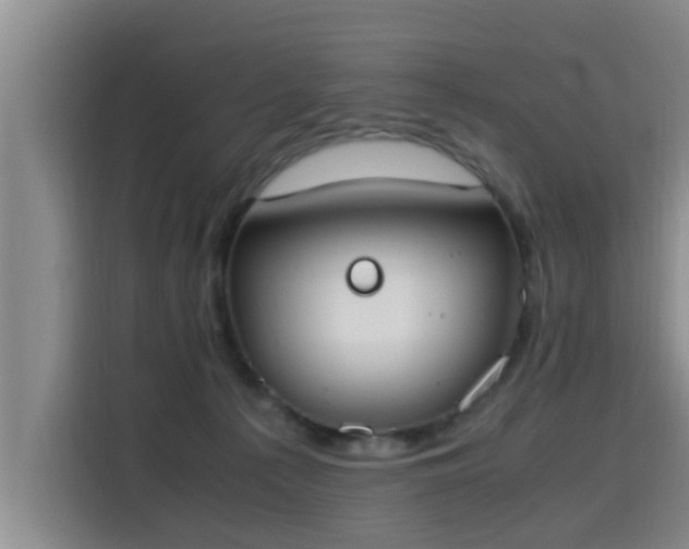 X0000115660225200911191012