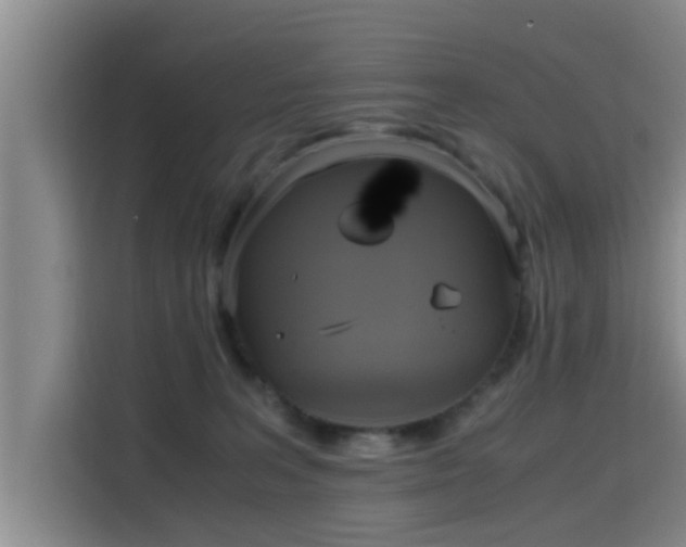 X0000115660227200911191012