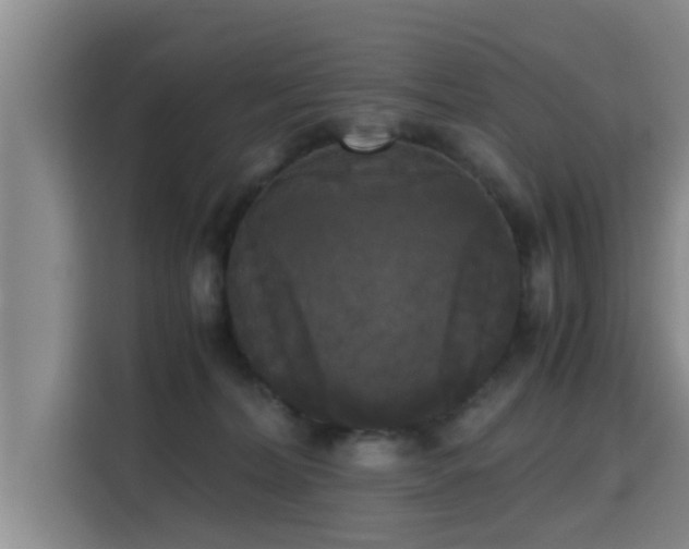 X0000115660228200911191012