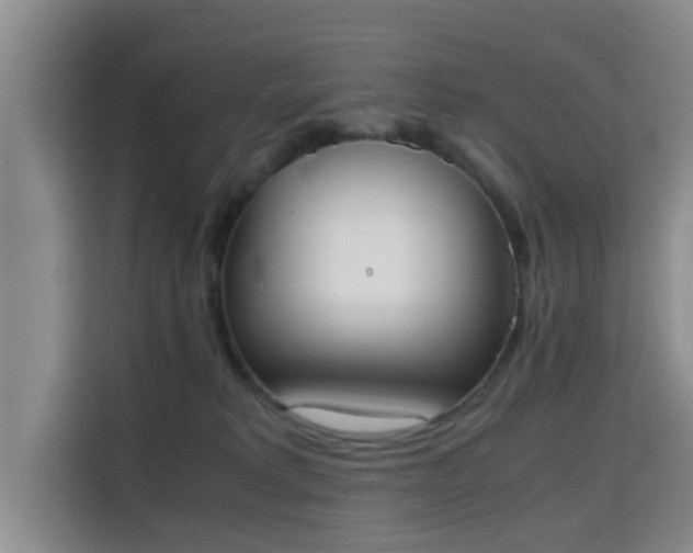 X0000115660229200911191012