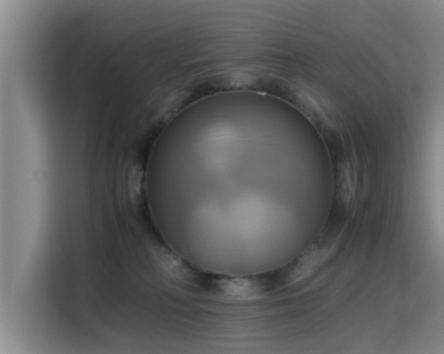 X0000115660230200911191012