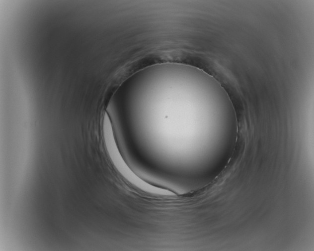 X0000115660233200911191012