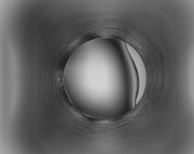 X0000115660237200911191011