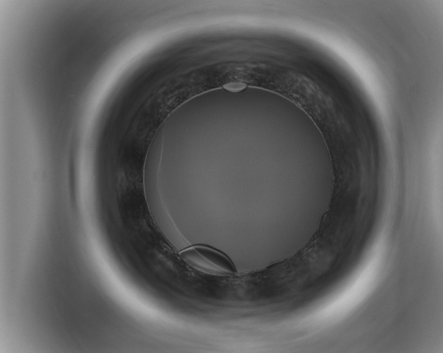 X0000115660239200911191011