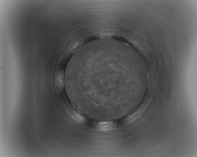 X0000115660240200911191011