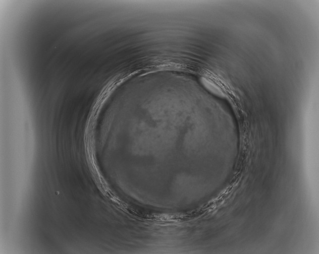 X0000115660241200911191011