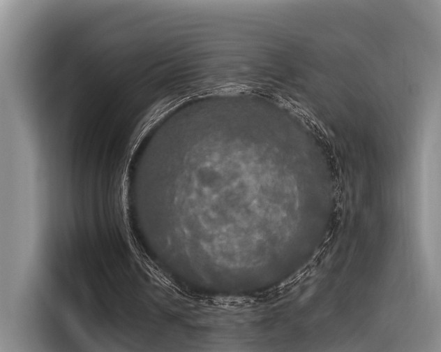 X0000115660242200911191011