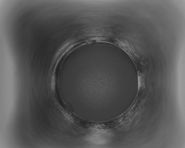 X0000115660243200911191011