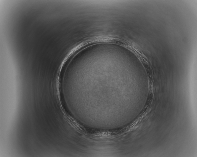 X0000115660244200911191011