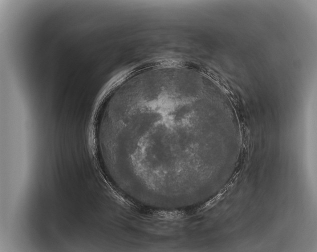 X0000115660245200911191011