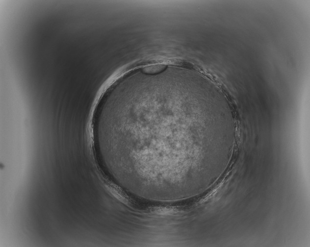 X0000115660246200911191011