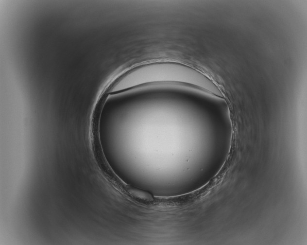 X0000115660248200911191011