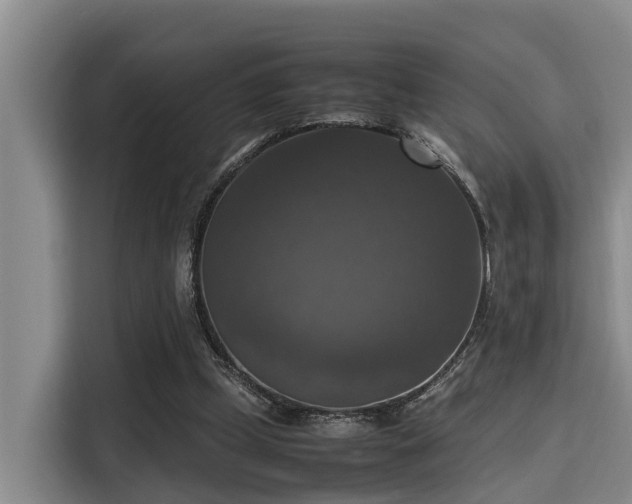 X0000115660249200911191011