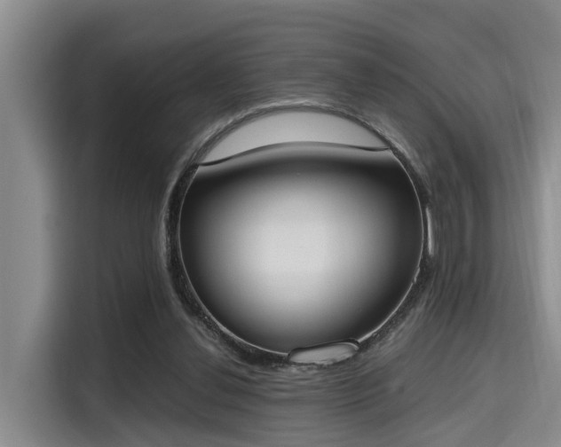 X0000115660252200911191011