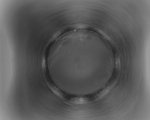 X0000115660254200911191011