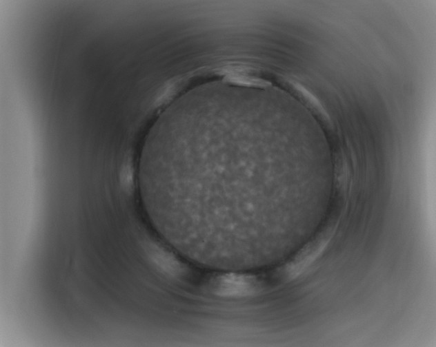 X0000115660261200911191011