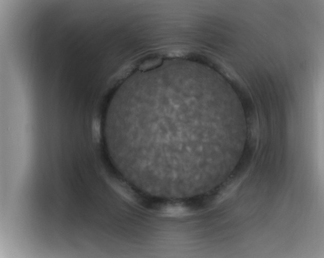 X0000115660262200911191011