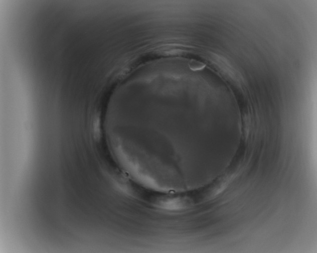 X0000115660267200911191011