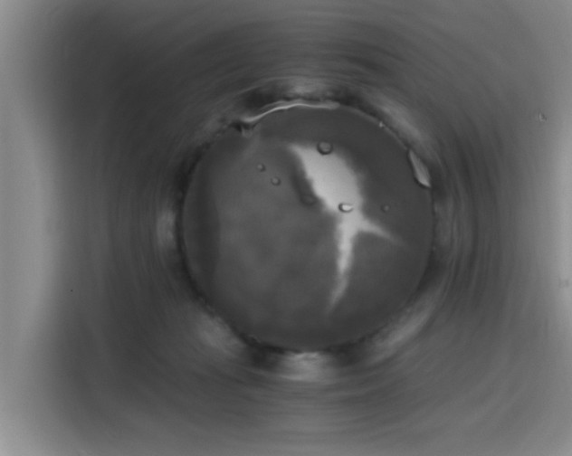 X0000115660269200911191011