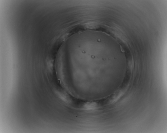 X0000115660271200911191011
