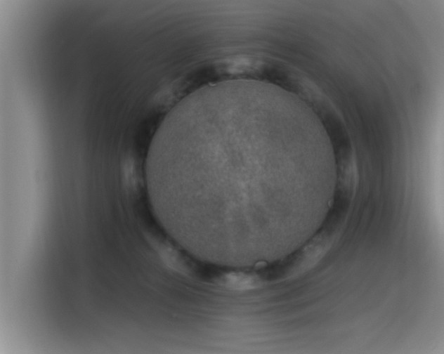 X0000115660272200911191011