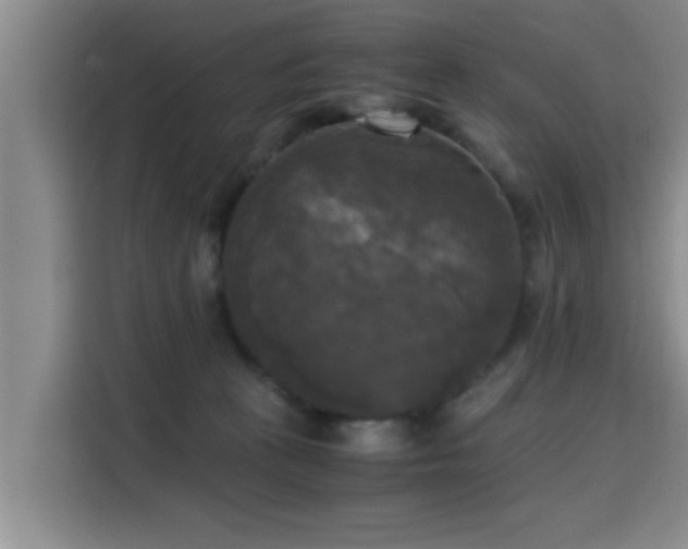 X0000115660273200911191011