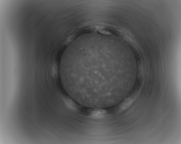 X0000115660274200911191011