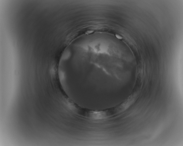 X0000115660277200911191011