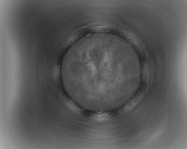 X0000115660278200911191011