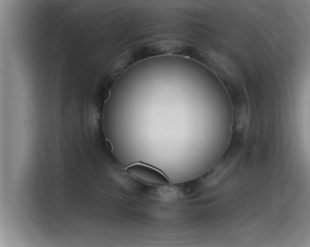 X0000115660279200911191011