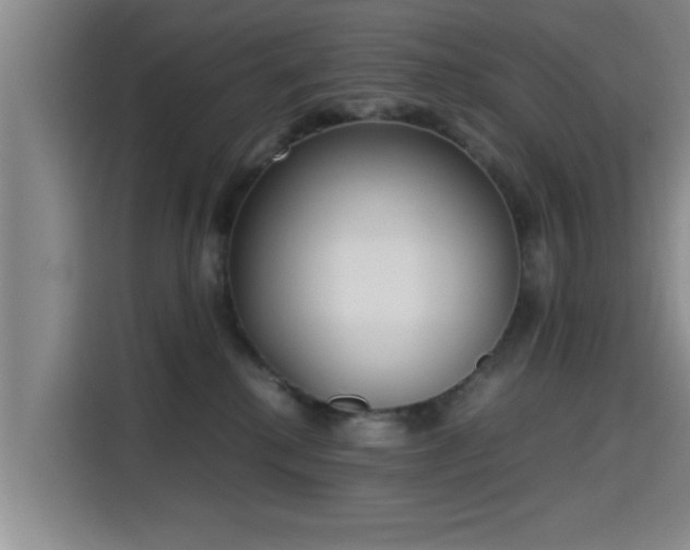 X0000115660280200911191011