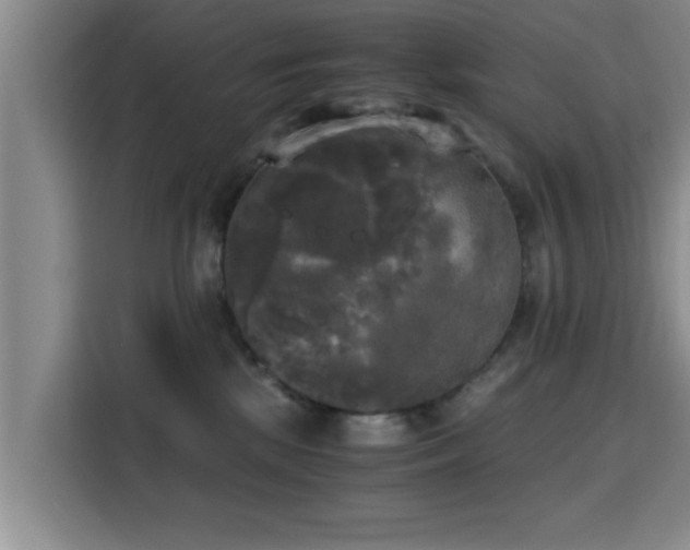 X0000115660281200911191011