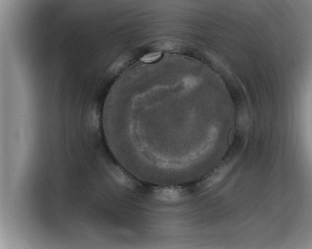 X0000115660282200911191011