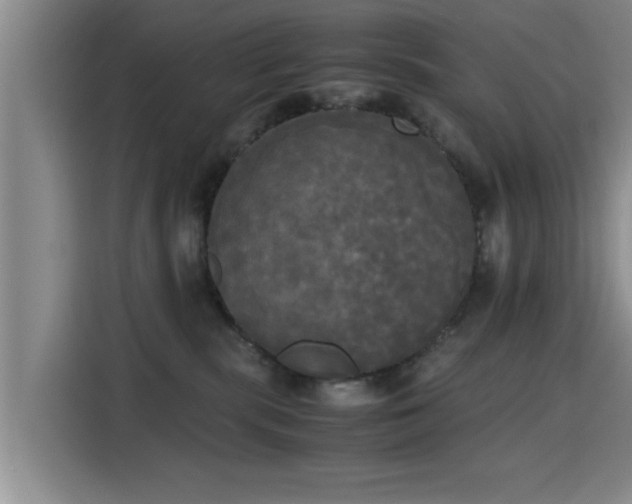 X0000115660283200911191011