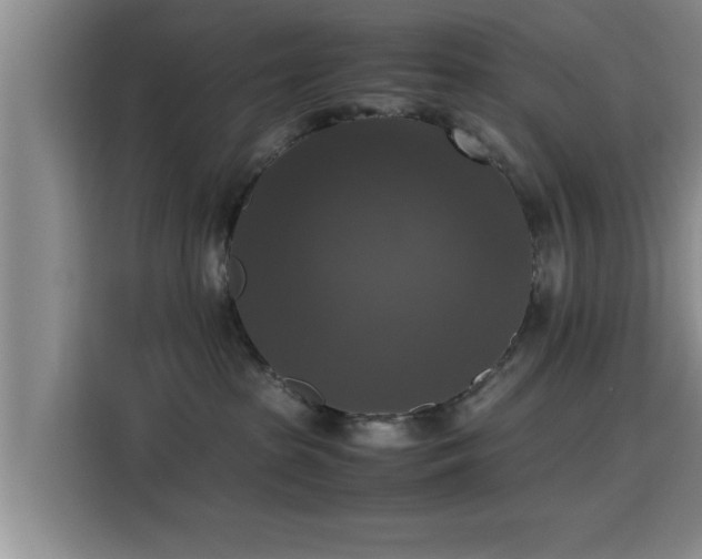 X0000115660285200911191011