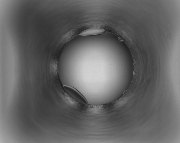 X0000115660288200911191011