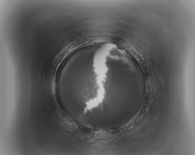 X0000115660290200911191011