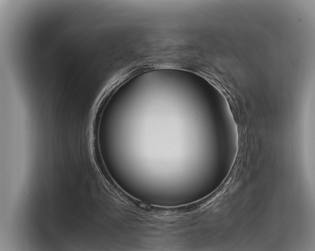 X0000115660293200911191011